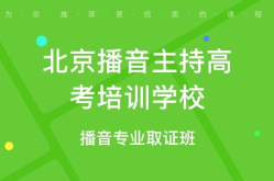 北京播音主持培训班,塑造未来传媒精英的摇篮