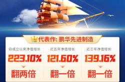 鹏华价值,稳健投资策略与长期增值之道