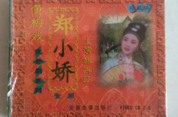 黄梅戏电视剧郑小娇,黄梅戏中的命运抗争与爱情传奇