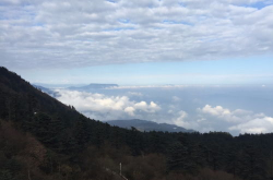 峨眉山2日游,探索佛教名山，感受自然奇观
