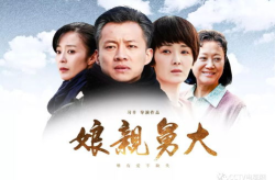 收视率最高的二十部电视剧,盘点收视率最高的二十部电视剧