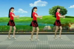 广场舞花香情歌,花香情歌共谱和谐乐章