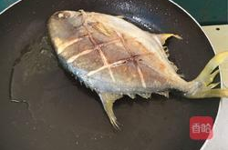 金枪鱼的做法,探索烹饪艺术中的海洋珍馐